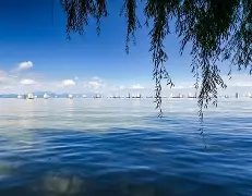 滇池山猫队小胜燕山雄鲨队，击剑超级杯上演裁判判罚引热议！经验成为胜负手的简单介绍