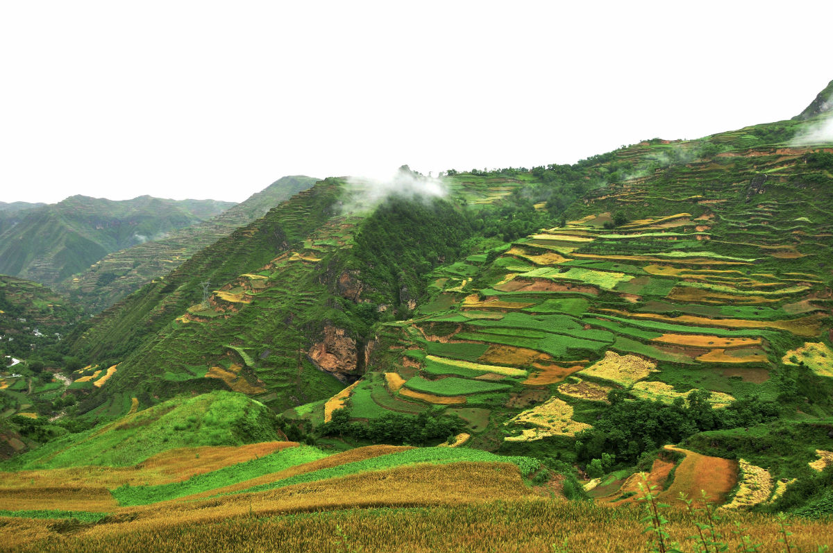 碧蓝航线克里夫兰-开云线上登录